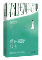 爱在原野尽头(试读本)