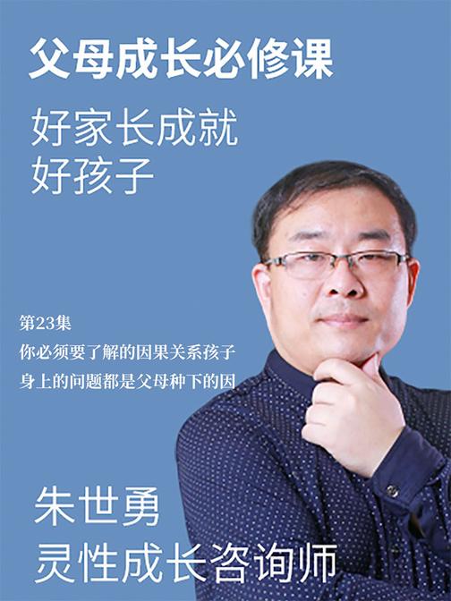 第23集 你必须要了解的因果关系孩子身上的问题都是父母种下的因(此商品为视频课程)