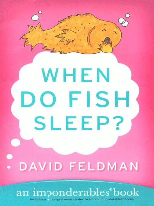 When Do Fish Sleep?