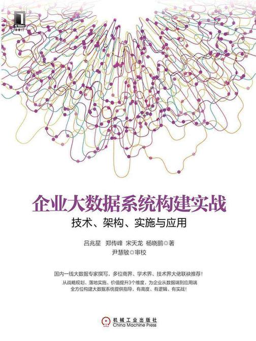企业大数据系统构建实战:技术、架构、实施与应用
