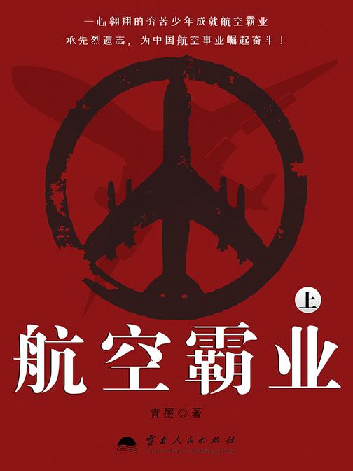 航空霸业(上)