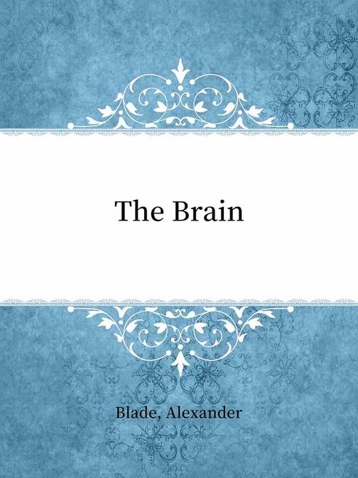 The Brain