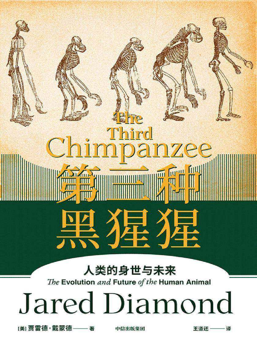 第三种黑猩猩