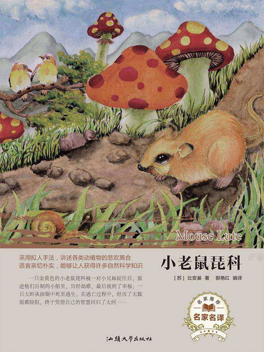 小老鼠琵科