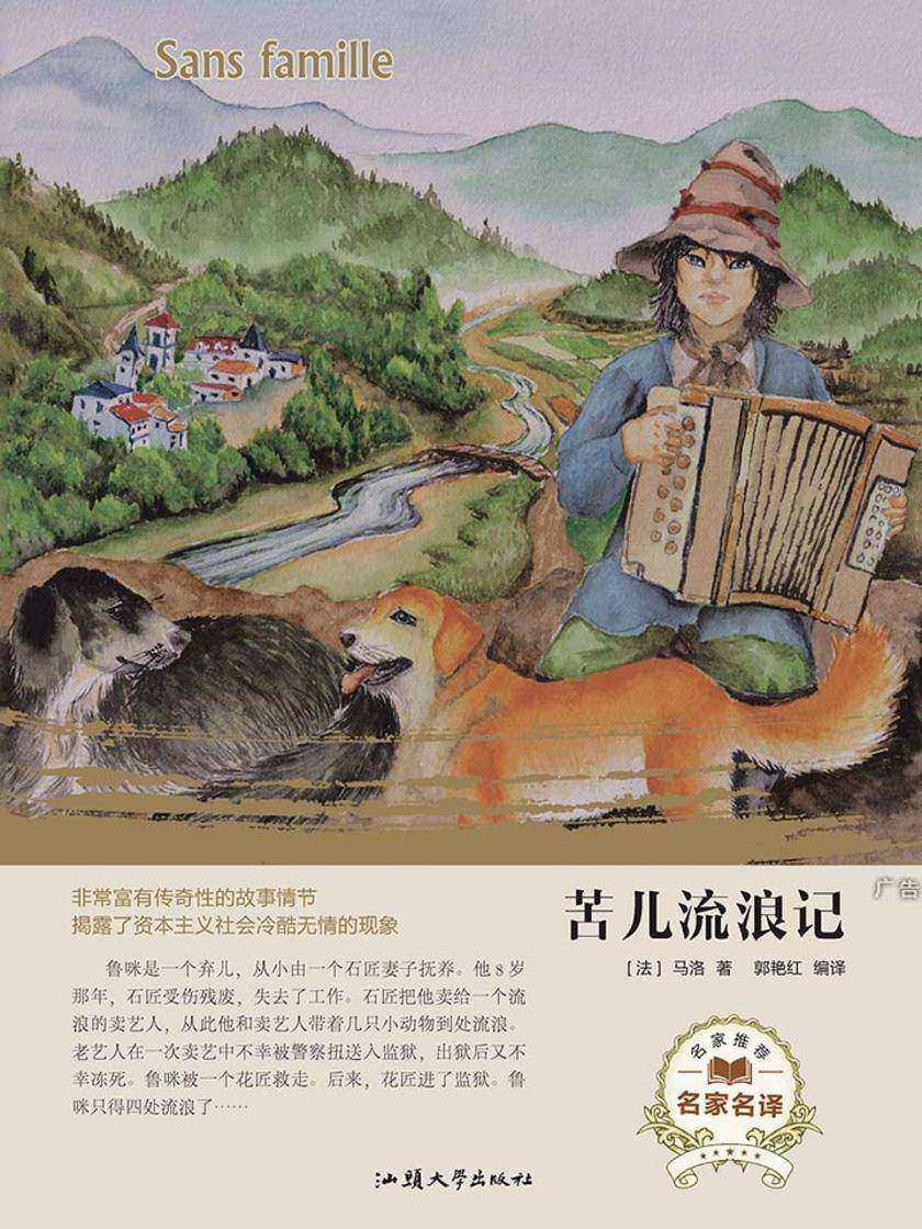 苦儿流浪记