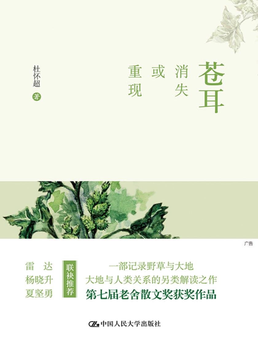 苍耳：消失或重现