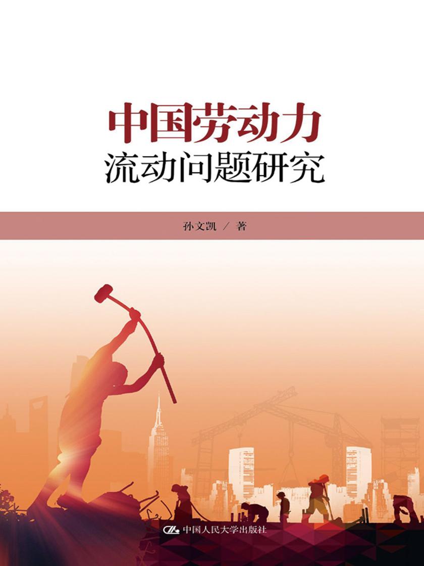 中国劳动力流动问题研究