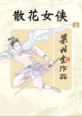 散花女侠（上）