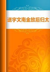 送宇文南金放后归太