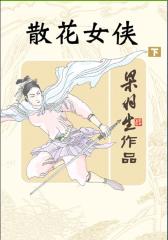 散花女侠（下）