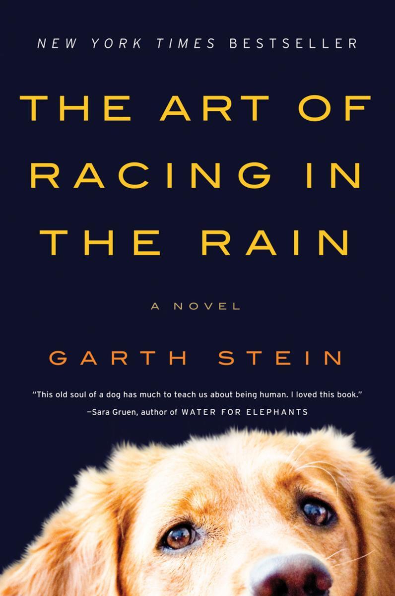The Art of Racing in the Rain 我在雨中等你