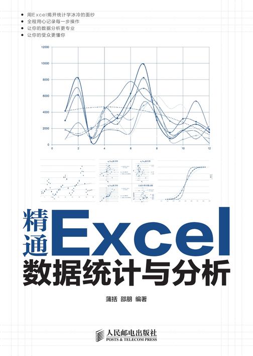 精通Excel数据统计与分析