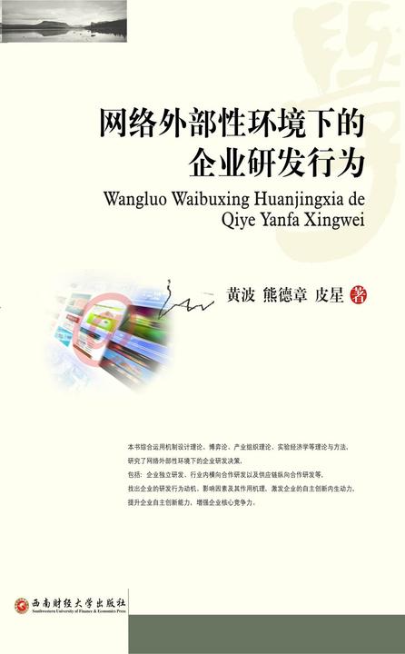 网络外部性环境下的企业研发行为