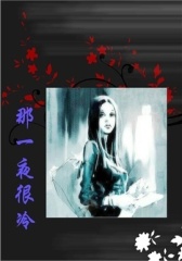 那一夜很冷