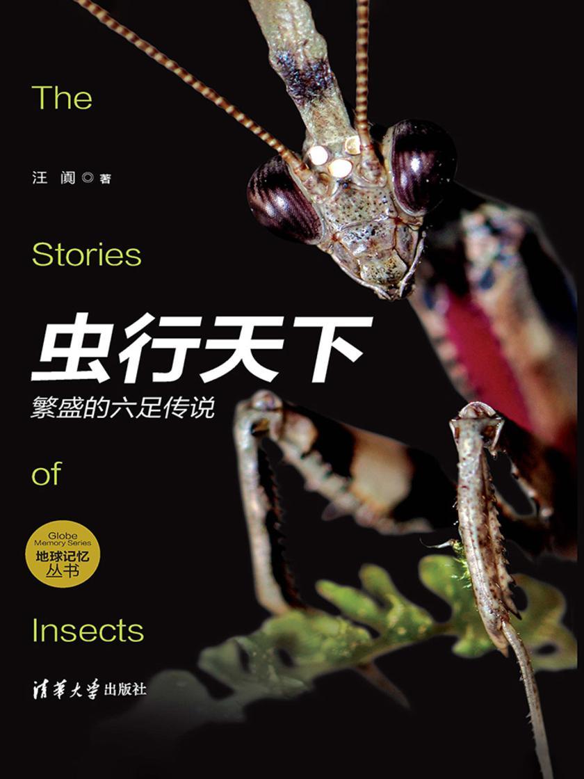 虫行天下：繁盛的六足传说