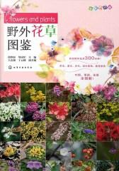 野外花草图鉴