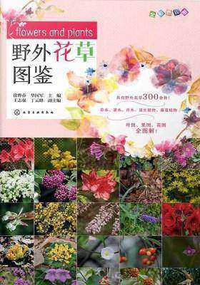 野外花草图鉴