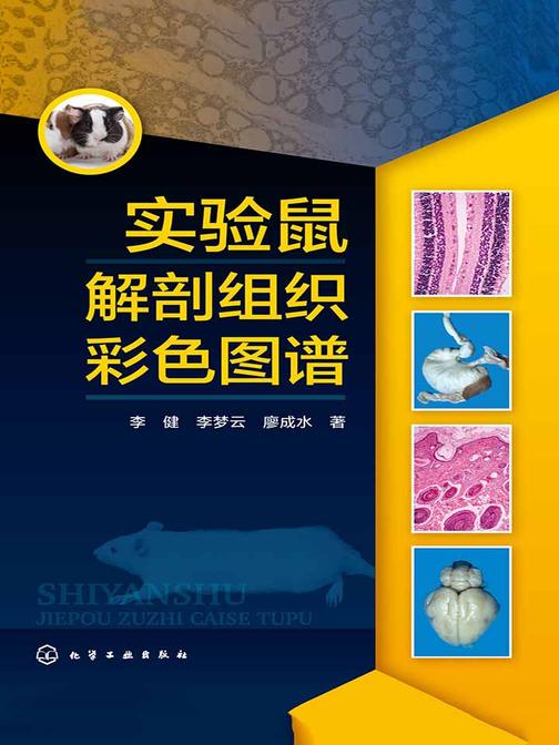 实验鼠解剖组织彩色图谱