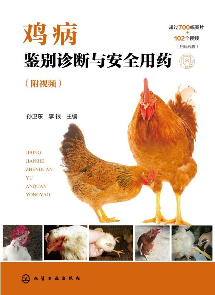 鸡病鉴别诊断与安全用药(附视频)