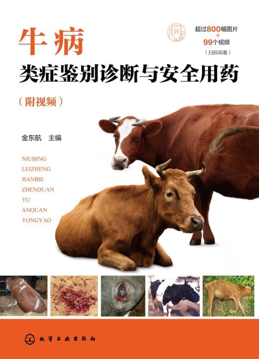 牛病类症鉴别诊断与安全用药(附视频)
