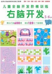 儿童全脑开发阶梯训练.5～6岁.右脑开发