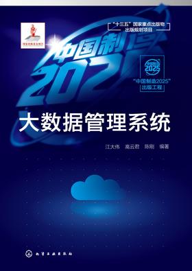 大数据管理系统