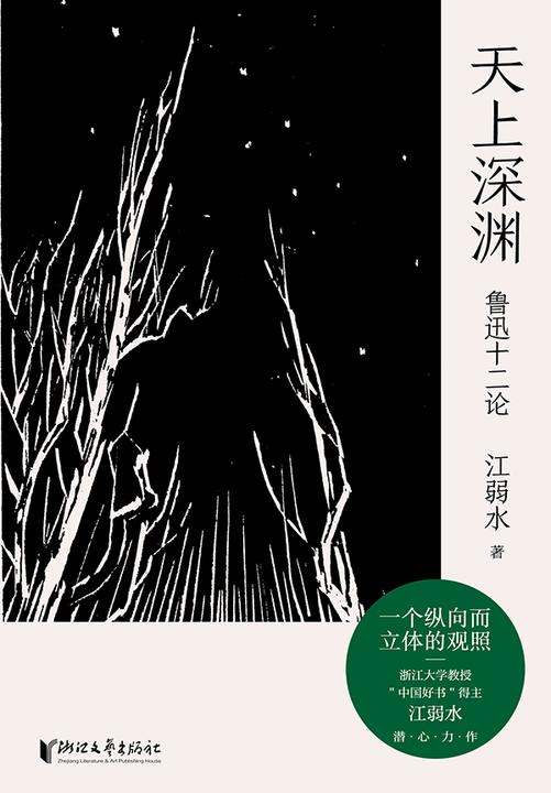天上深渊:鲁迅十二论