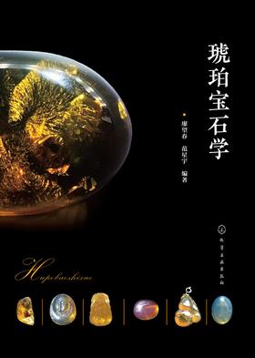 琥珀宝石学