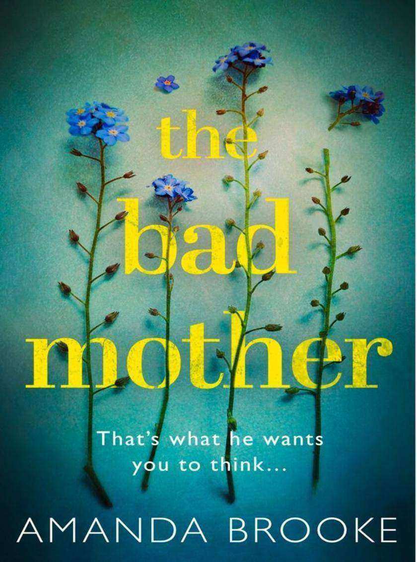 The Bad Mother: The addictive, gripping thriller that will make you question eve