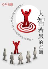 大智若愚的点滴