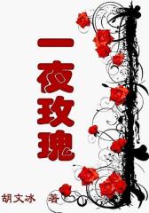 一夜玫瑰