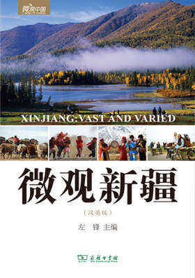 微观新疆