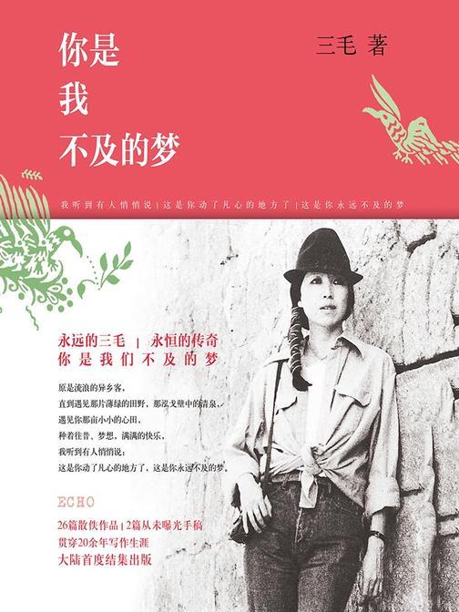 你是我不及的梦