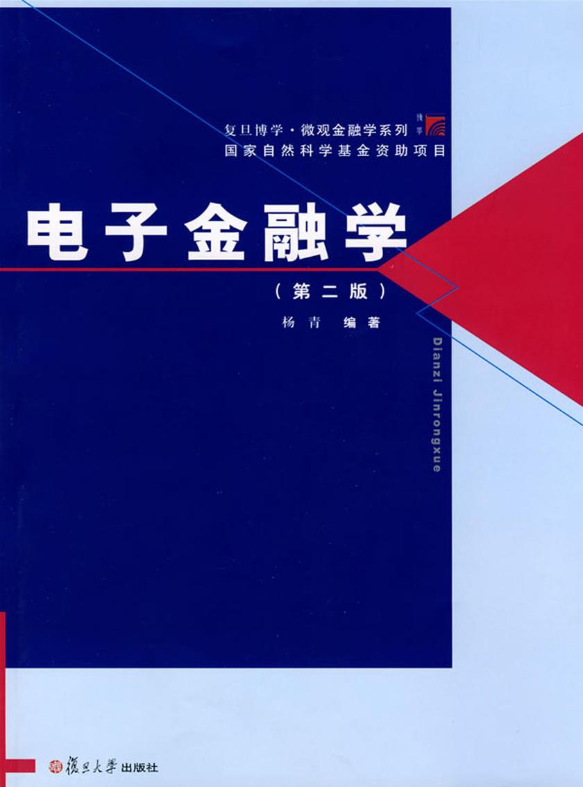 电子金融学（第二版）