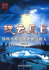 拨云见日——你所不知道的唐朝与唐人（直解天下）(试读本)