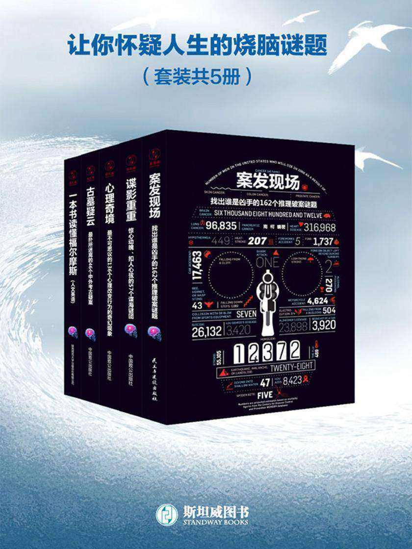 让你怀疑人生的烧脑谜题(套装共5册)