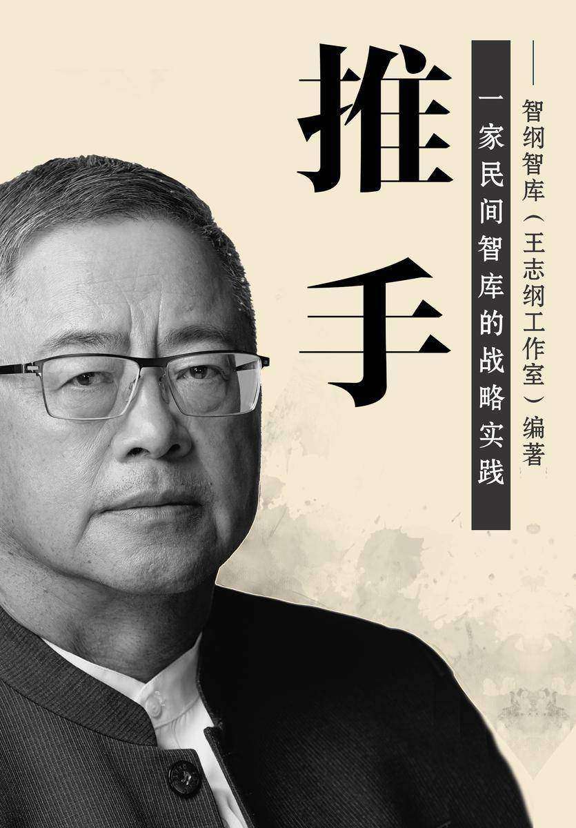 推手:一家民间智库的战略实践