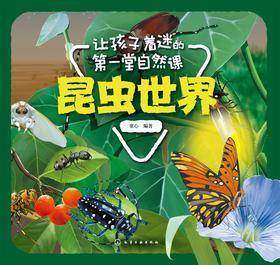 让孩子着迷的第一堂自然课-昆虫世界