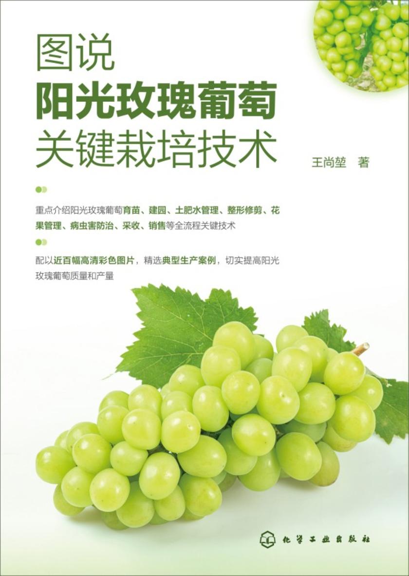 图说阳光玫瑰葡萄关键栽培技术