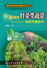 图说棚室叶菜类蔬菜栽培关键技术