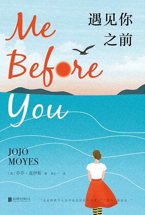 遇见你之前(高分同名电影原著)