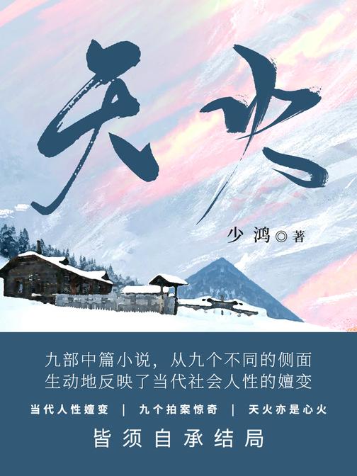 天火【【当代人性嬗变,九个拍案惊奇,天火亦是心火,皆须自承结局。】