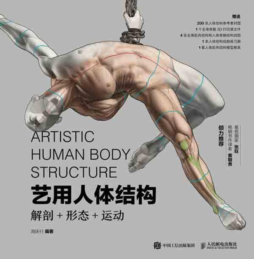 艺用人体结构:解剖+形态+运动