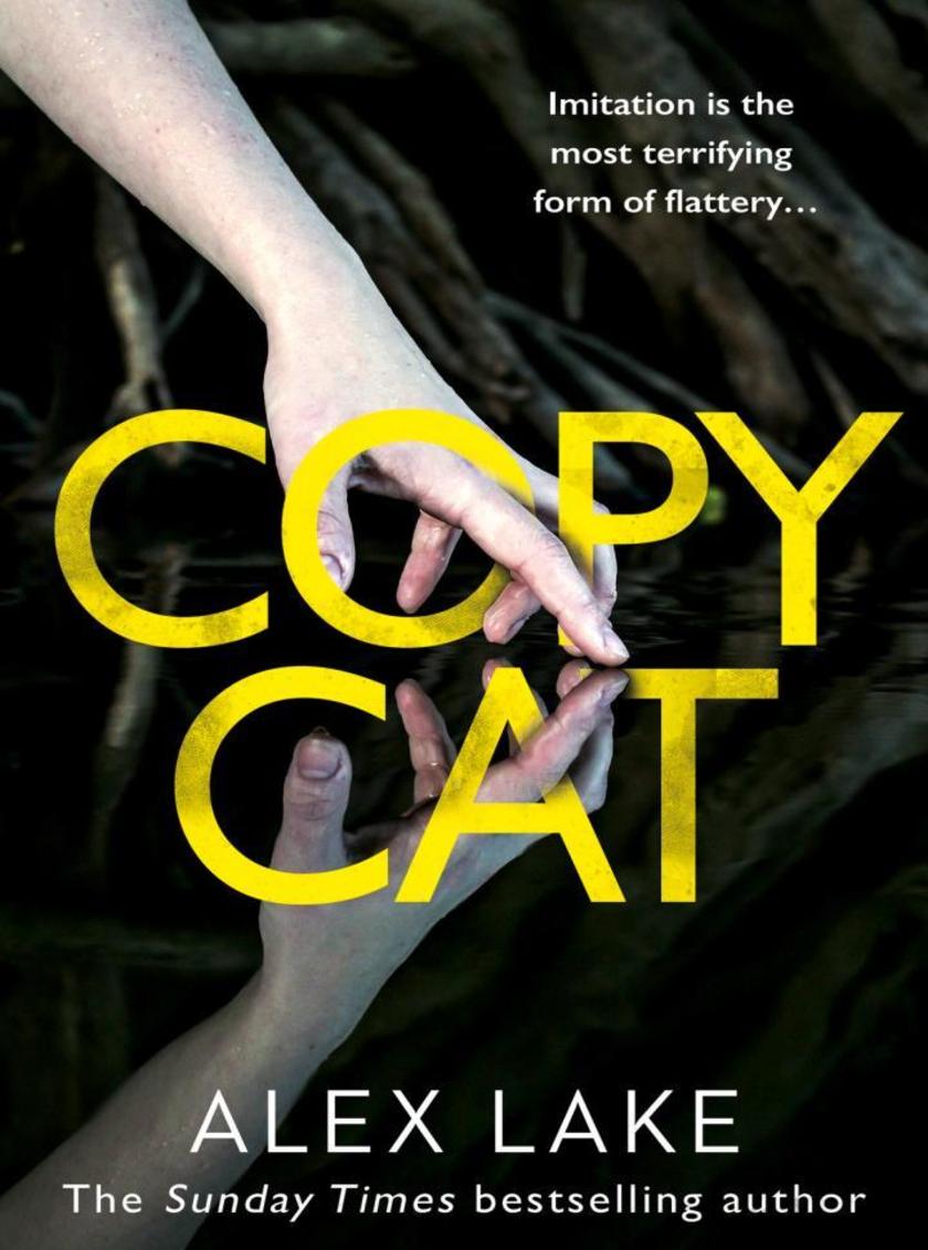 Copycat: The unputdownable new thriller from the bestselling author of After Ann