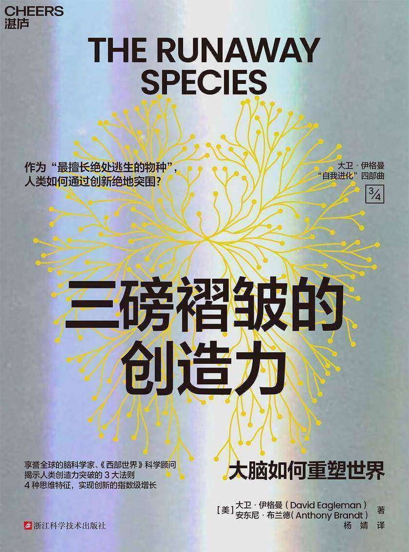 三磅褶皱的创造力