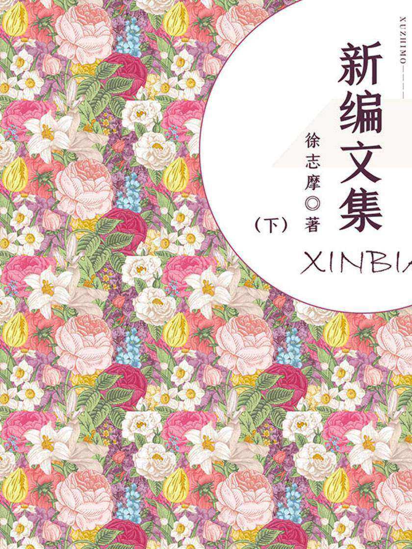 新编文集(下)