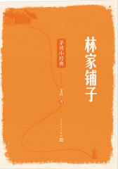 林家铺子：茅盾小经典