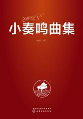 小奏鸣曲集