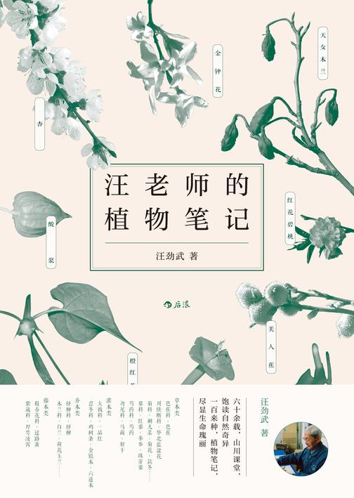 汪老师的植物笔记（六十余载，山川课堂，饱读自然奇异；一百来种，植物笔记，尽显生命瑰丽。）