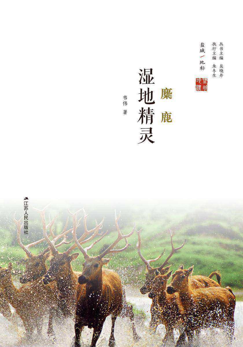 湿地精灵:麋鹿